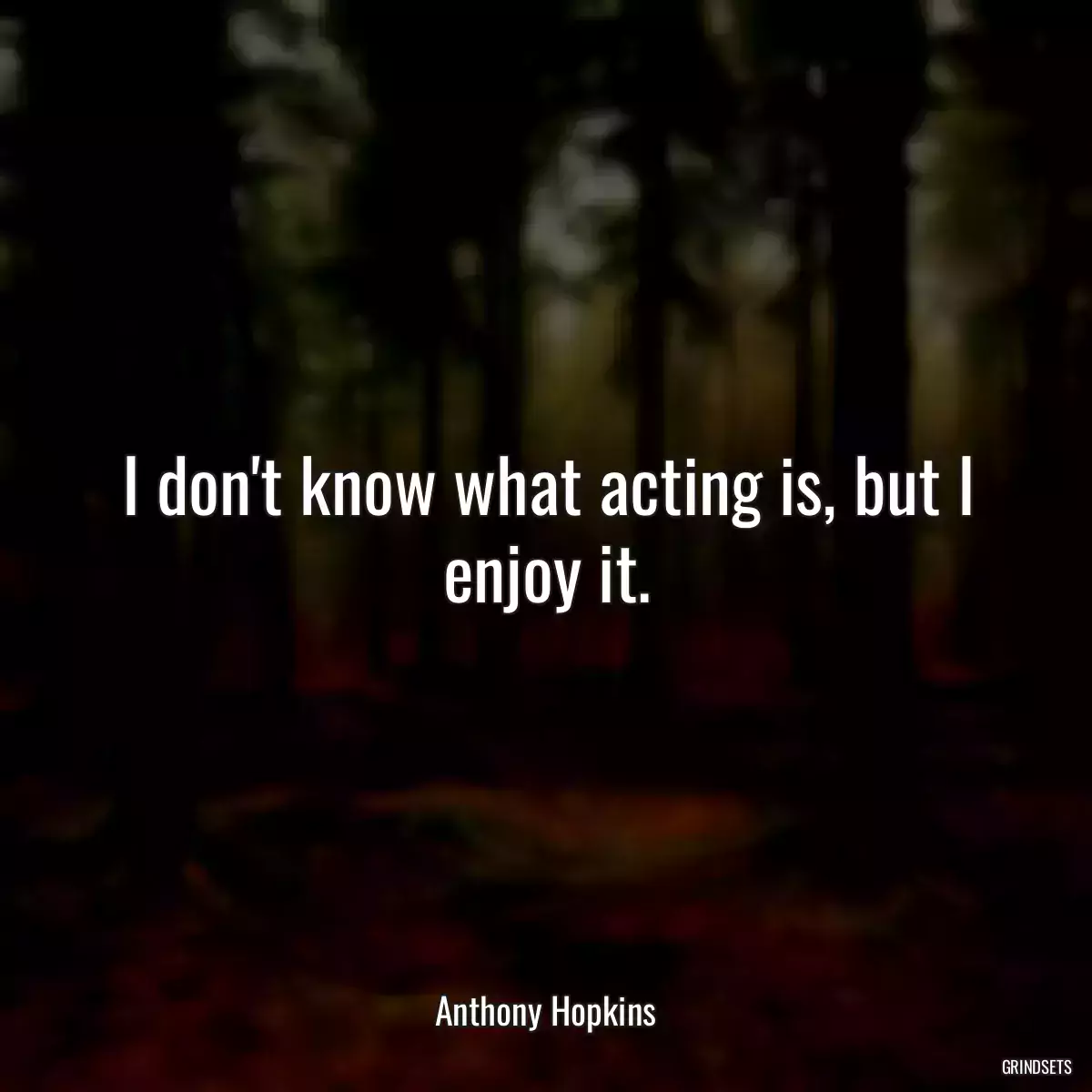 I don\'t know what acting is, but I enjoy it.