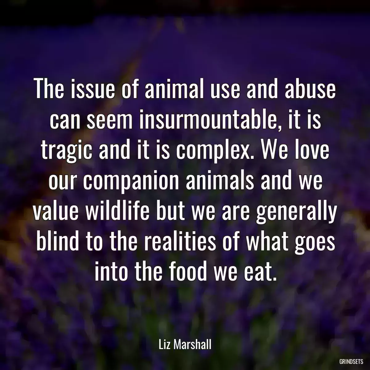 The issue of animal use and abuse can seem insurmountable, it is tragic and it is complex. We love our companion animals and we value wildlife but we are generally blind to the realities of what goes into the food we eat.