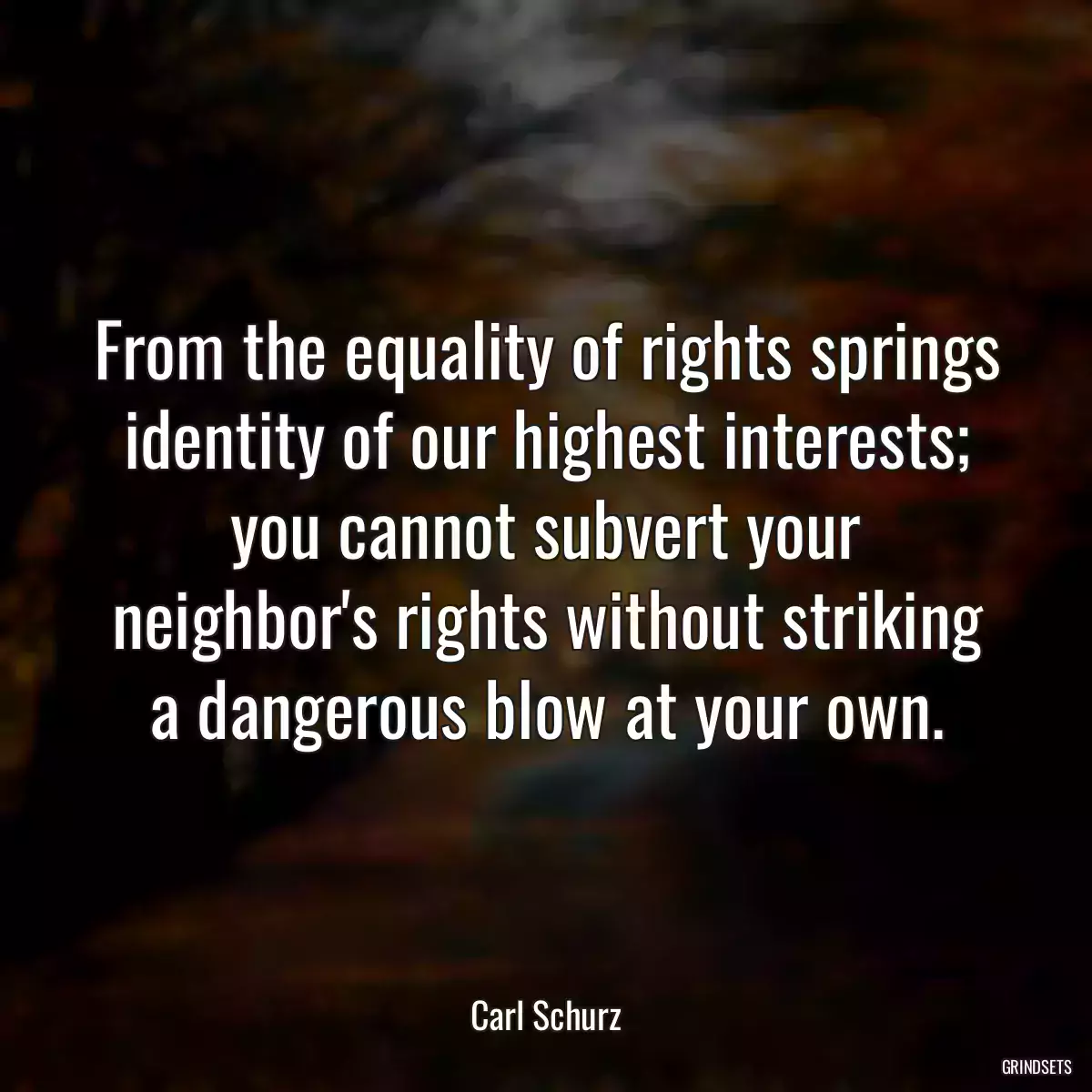 From the equality of rights springs identity of our highest interests; you cannot subvert your neighbor\'s rights without striking a dangerous blow at your own.