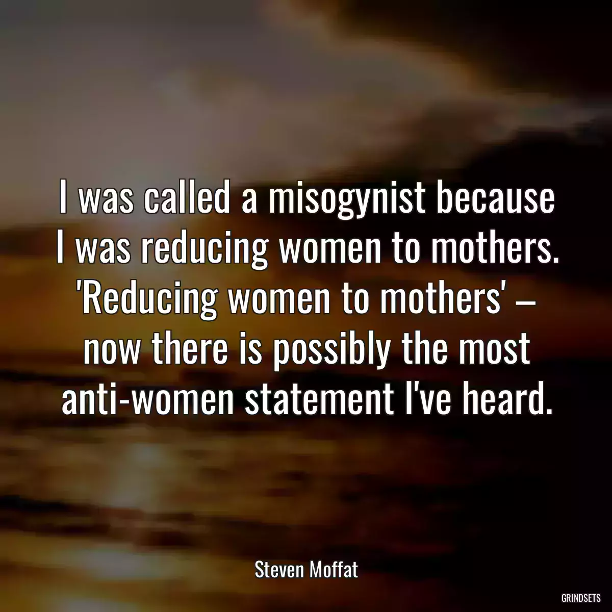 I was called a misogynist because I was reducing women to mothers. \'Reducing women to mothers\' – now there is possibly the most anti-women statement I\'ve heard.