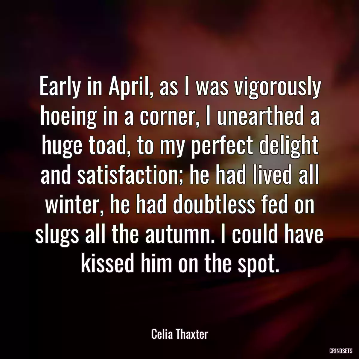 Early in April, as I was vigorously hoeing in a corner, I unearthed a huge toad, to my perfect delight and satisfaction; he had lived all winter, he had doubtless fed on slugs all the autumn. I could have kissed him on the spot.