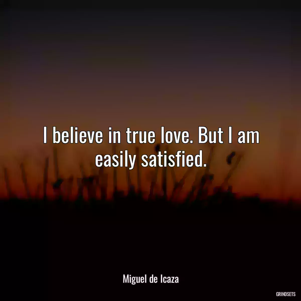 I believe in true love. But I am easily satisfied.