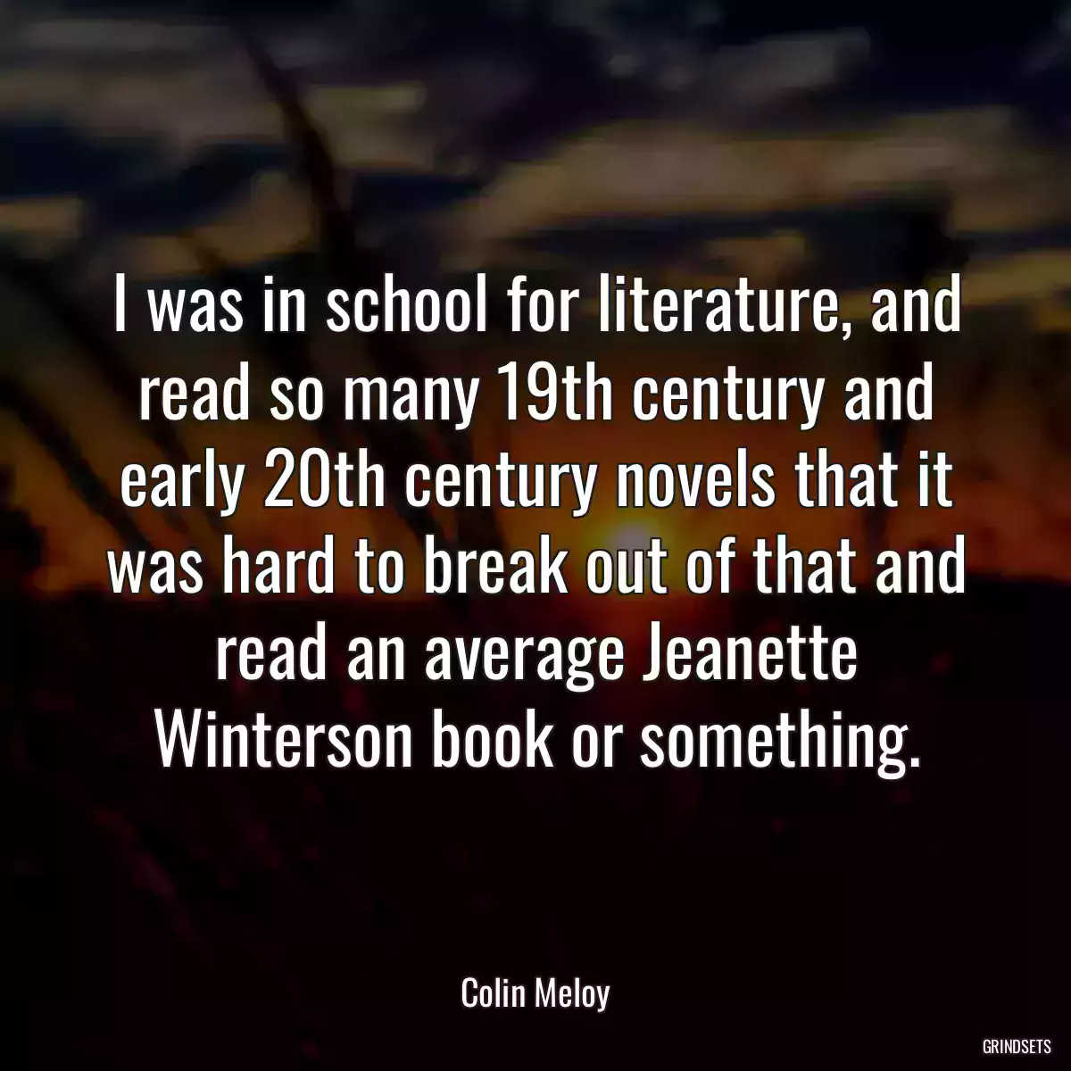 I was in school for literature, and read so many 19th century and early 20th century novels that it was hard to break out of that and read an average Jeanette Winterson book or something.