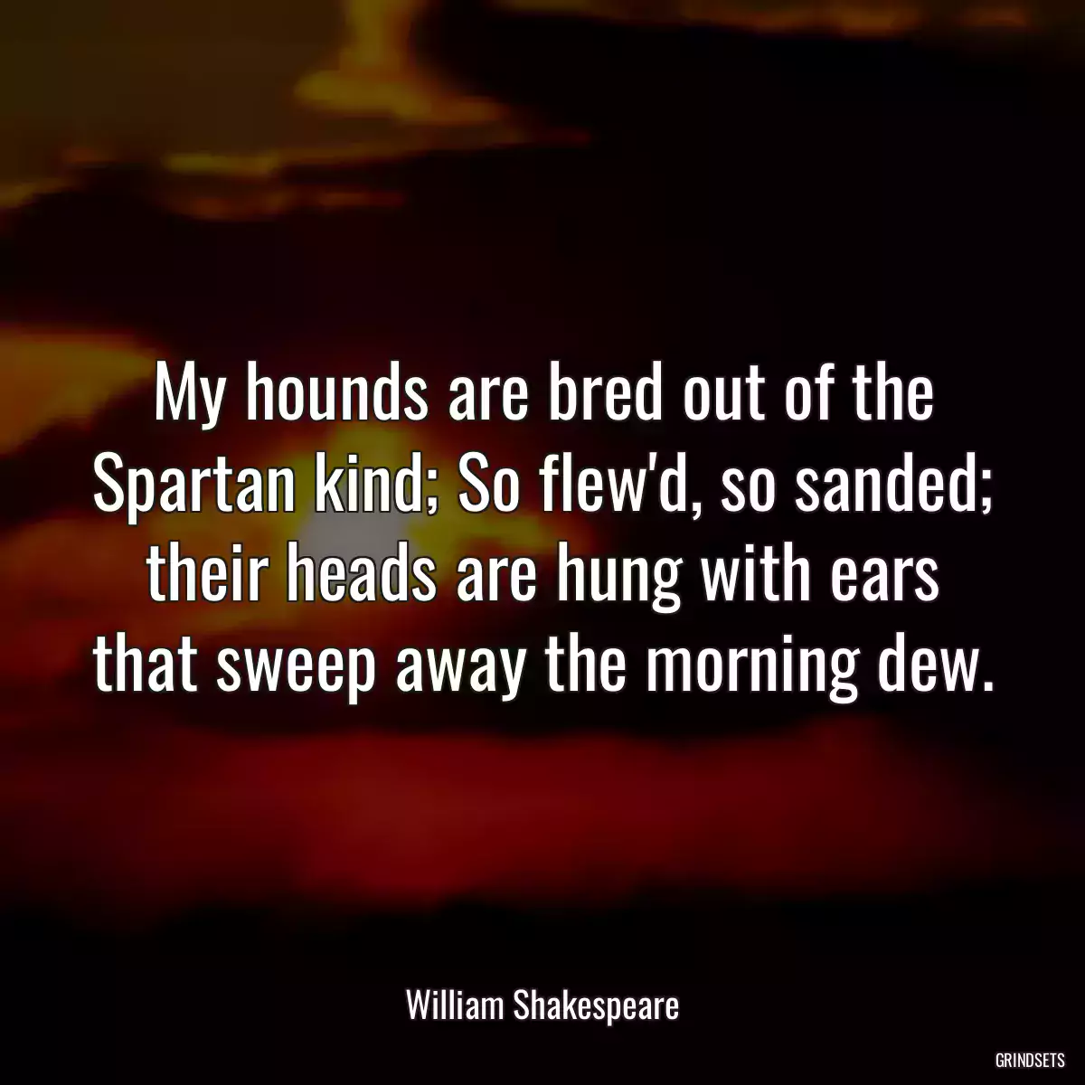 My hounds are bred out of the Spartan kind; So flew\'d, so sanded; their heads are hung with ears that sweep away the morning dew.