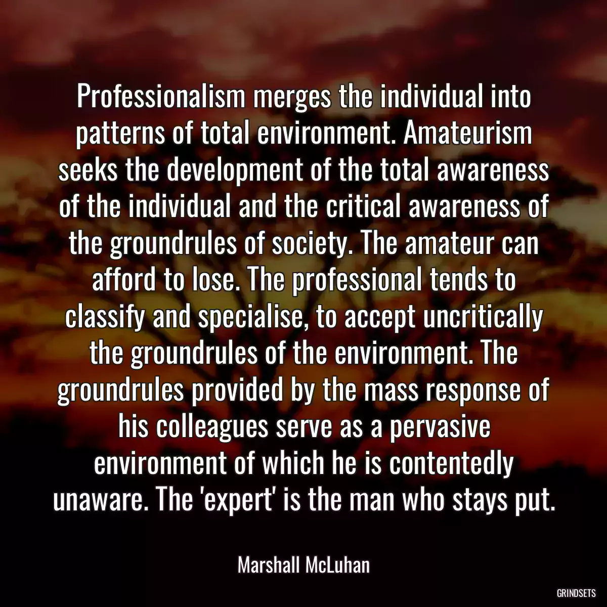 Professionalism merges the individual into patterns of total environment. Amateurism seeks the development of the total awareness of the individual and the critical awareness of the groundrules of society. The amateur can afford to lose. The professional tends to classify and specialise, to accept uncritically the groundrules of the environment. The groundrules provided by the mass response of his colleagues serve as a pervasive environment of which he is contentedly unaware. The \'expert\' is the man who stays put.