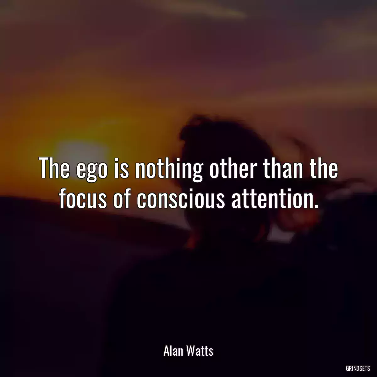 The ego is nothing other than the focus of conscious attention.