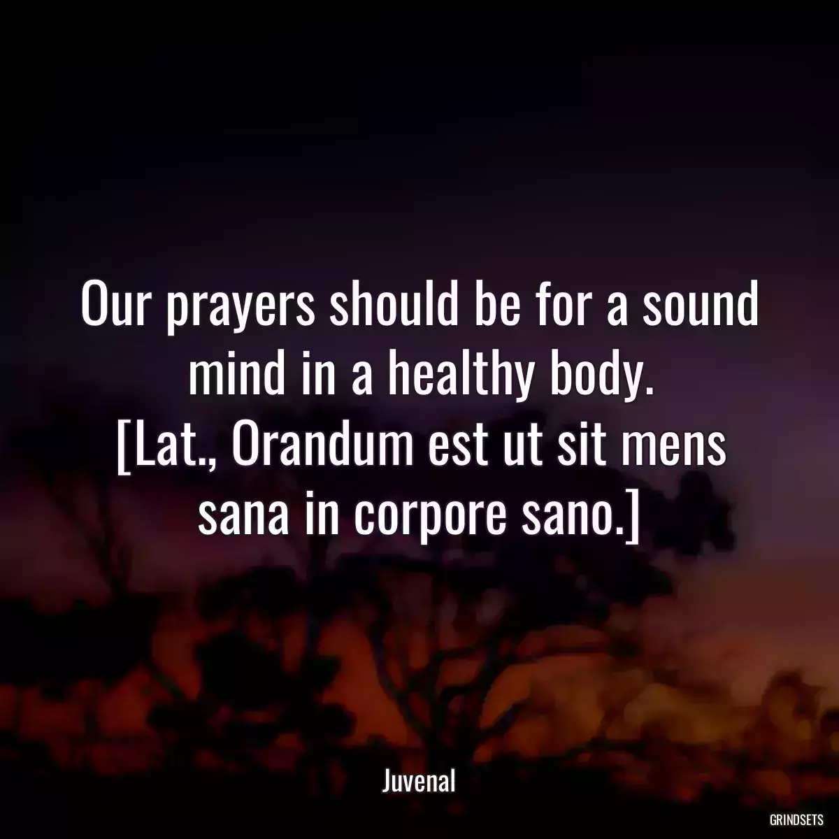 Our prayers should be for a sound mind in a healthy body.
[Lat., Orandum est ut sit mens sana in corpore sano.]