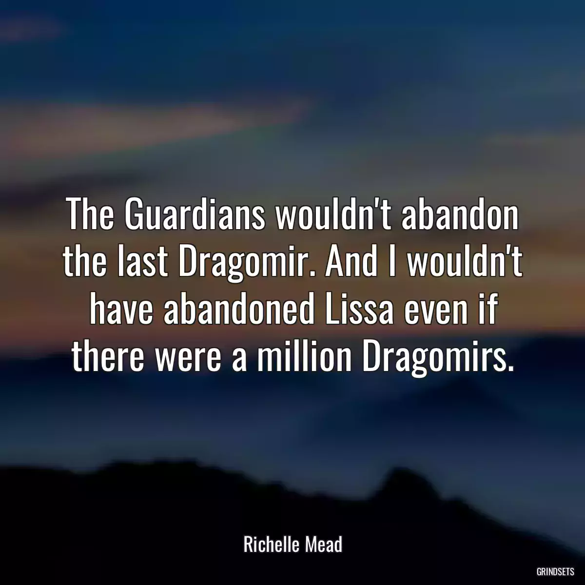 The Guardians wouldn\'t abandon the last Dragomir. And I wouldn\'t have abandoned Lissa even if there were a million Dragomirs.