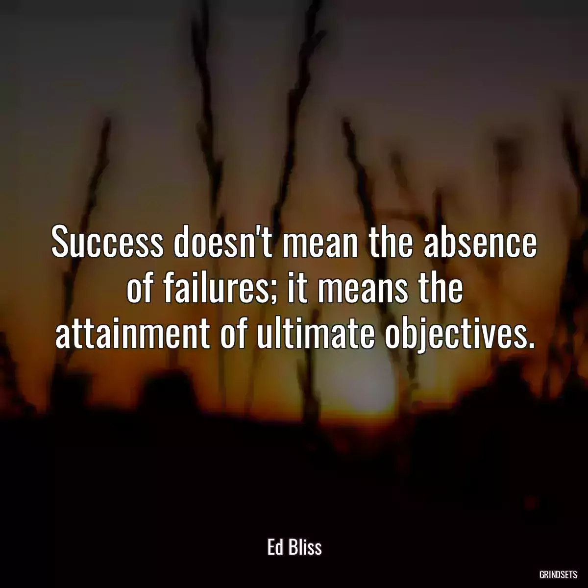 Success doesn\'t mean the absence of failures; it means the attainment of ultimate objectives.