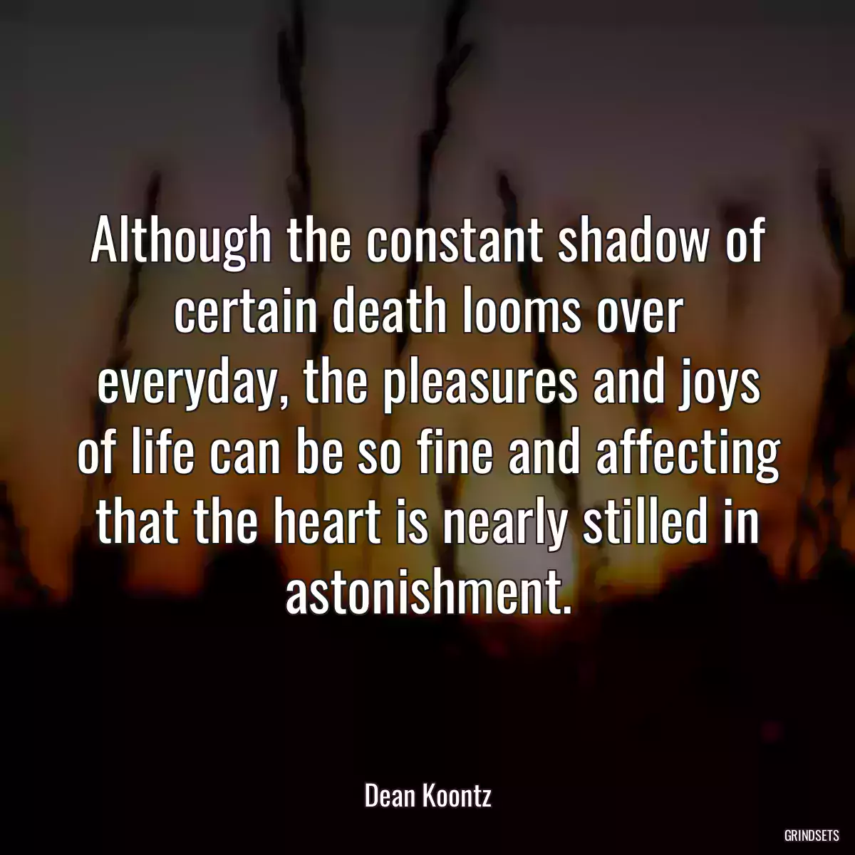 Although the constant shadow of certain death looms over everyday, the pleasures and joys of life can be so fine and affecting that the heart is nearly stilled in astonishment.