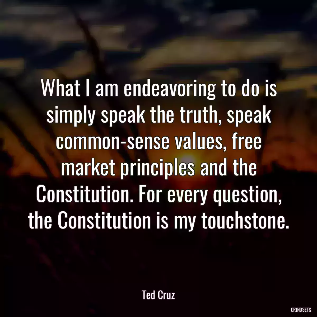 What I am endeavoring to do is simply speak the truth, speak common-sense values, free market principles and the Constitution. For every question, the Constitution is my touchstone.