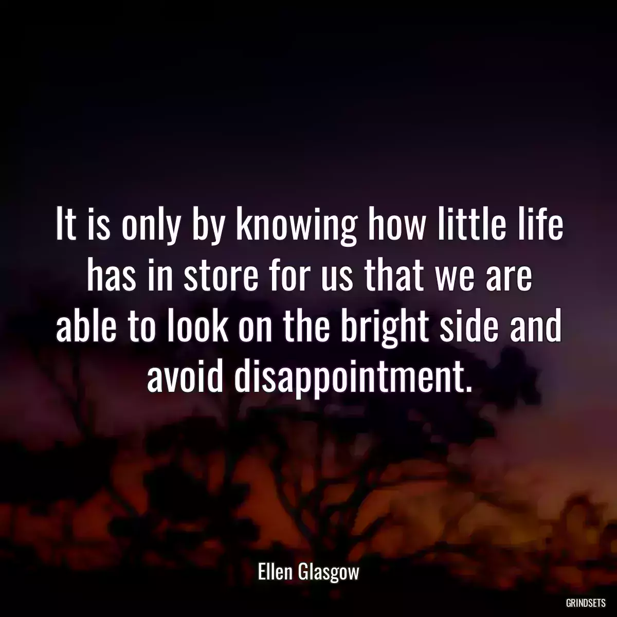 It is only by knowing how little life has in store for us that we are able to look on the bright side and avoid disappointment.