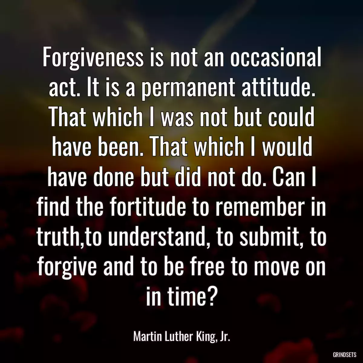 Forgiveness is not an occasional act. It is a permanent attitude. That which I was not but could have been. That which I would have done but did not do. Can I find the fortitude to remember in truth,to understand, to submit, to forgive and to be free to move on in time?