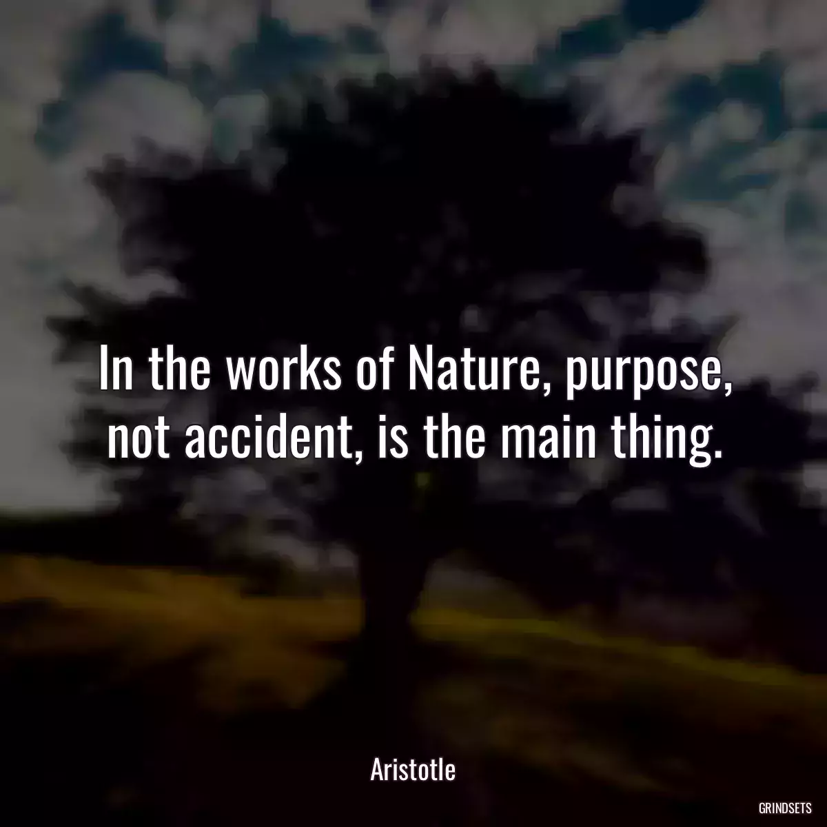 In the works of Nature, purpose, not accident, is the main thing.