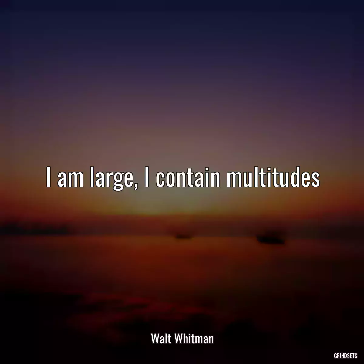 I am large, I contain multitudes