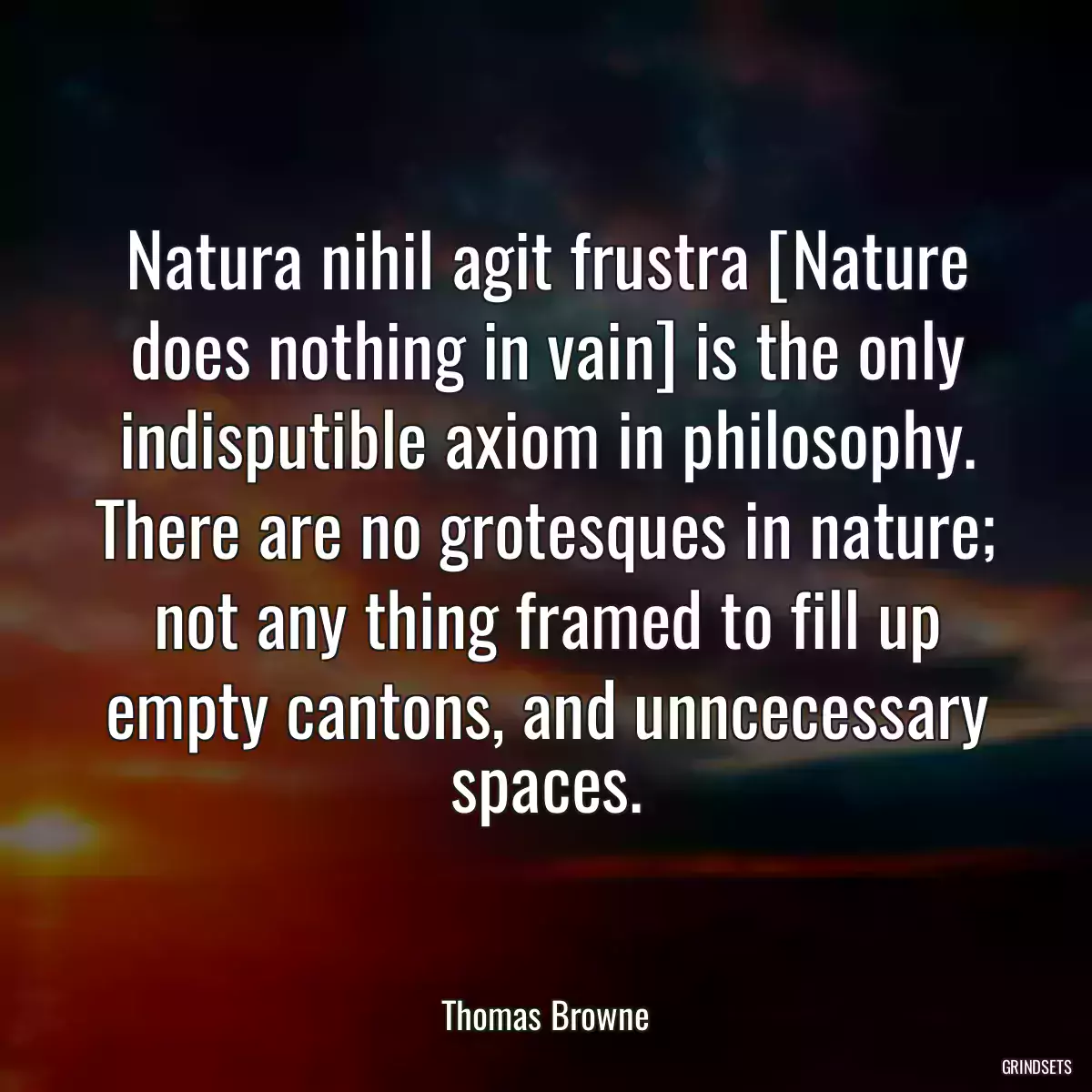 Natura nihil agit frustra [Nature does nothing in vain] is the only indisputible axiom in philosophy. There are no grotesques in nature; not any thing framed to fill up empty cantons, and unncecessary spaces.