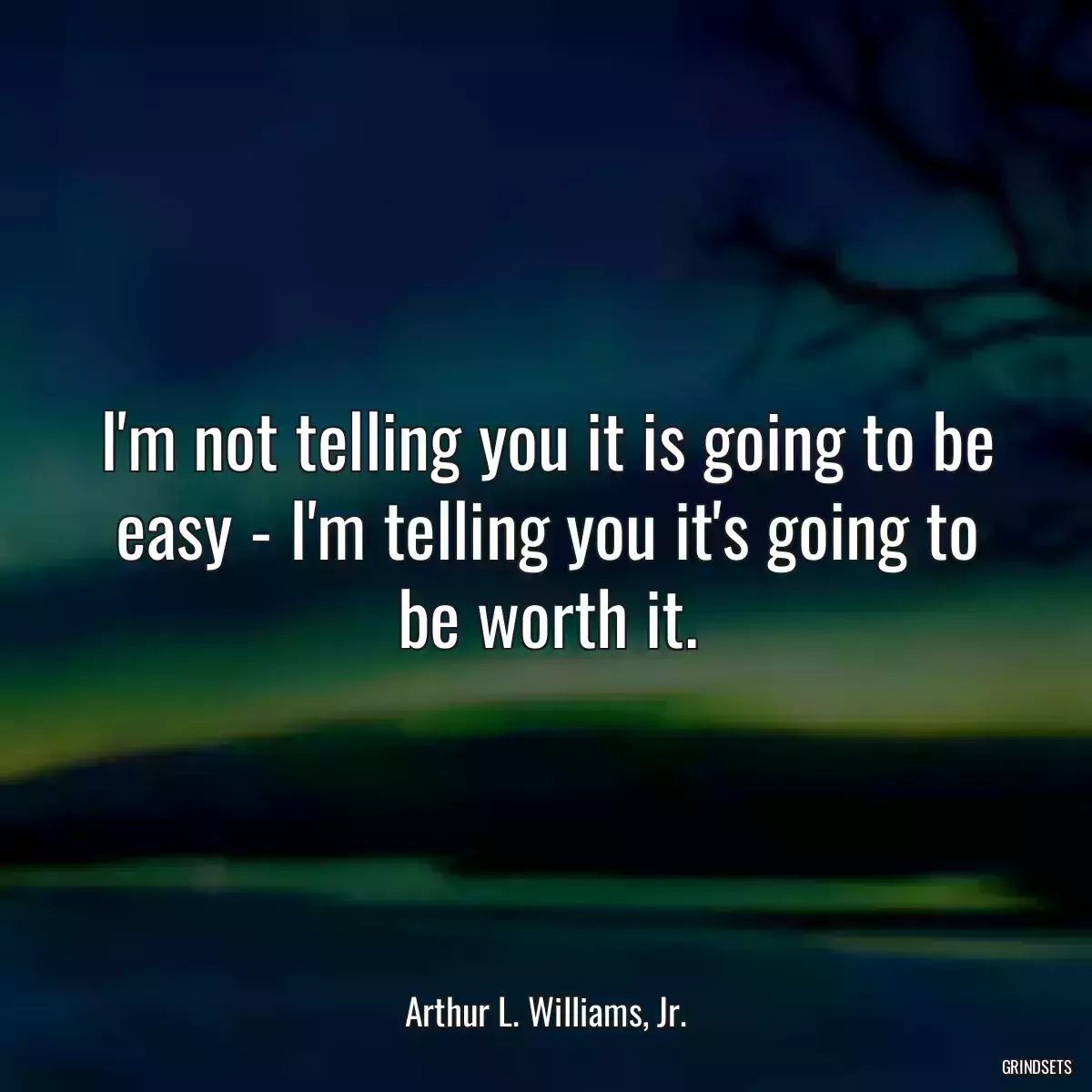 I\'m not telling you it is going to be easy - I\'m telling you it\'s going to be worth it.