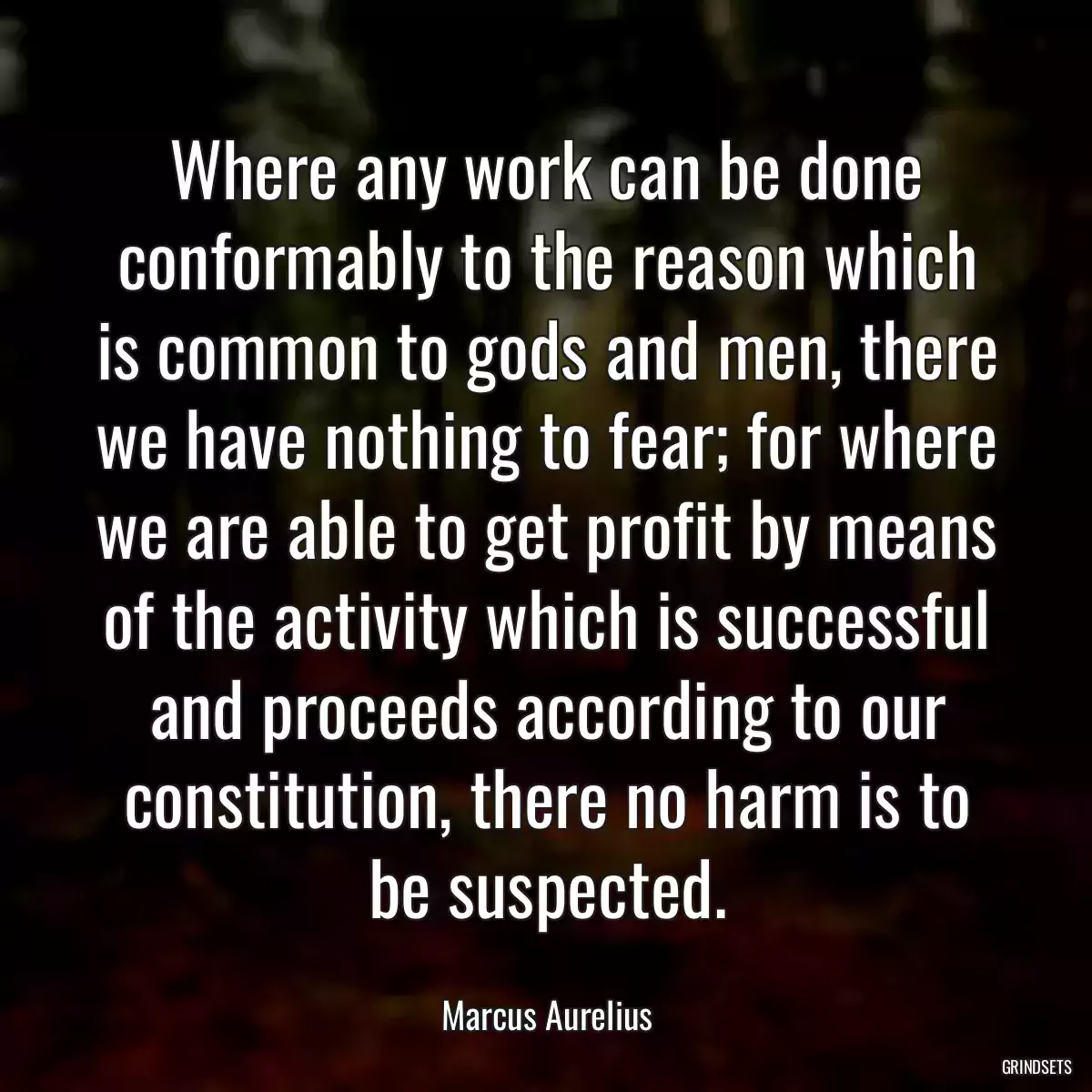 Where any work can be done conformably to the reason which is common to gods and men, there we have nothing to fear; for where we are able to get profit by means of the activity which is successful and proceeds according to our constitution, there no harm is to be suspected.