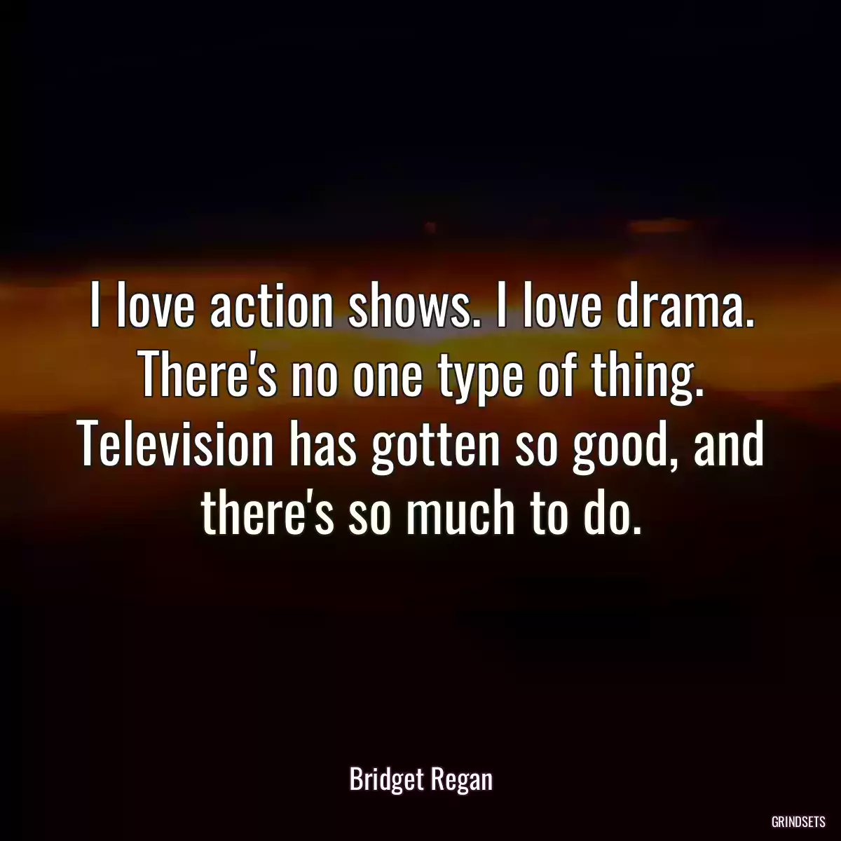 I love action shows. I love drama. There\'s no one type of thing. Television has gotten so good, and there\'s so much to do.