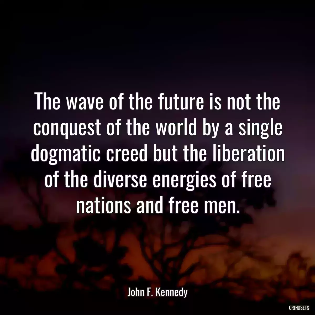 The wave of the future is not the conquest of the world by a single dogmatic creed but the liberation of the diverse energies of free nations and free men.