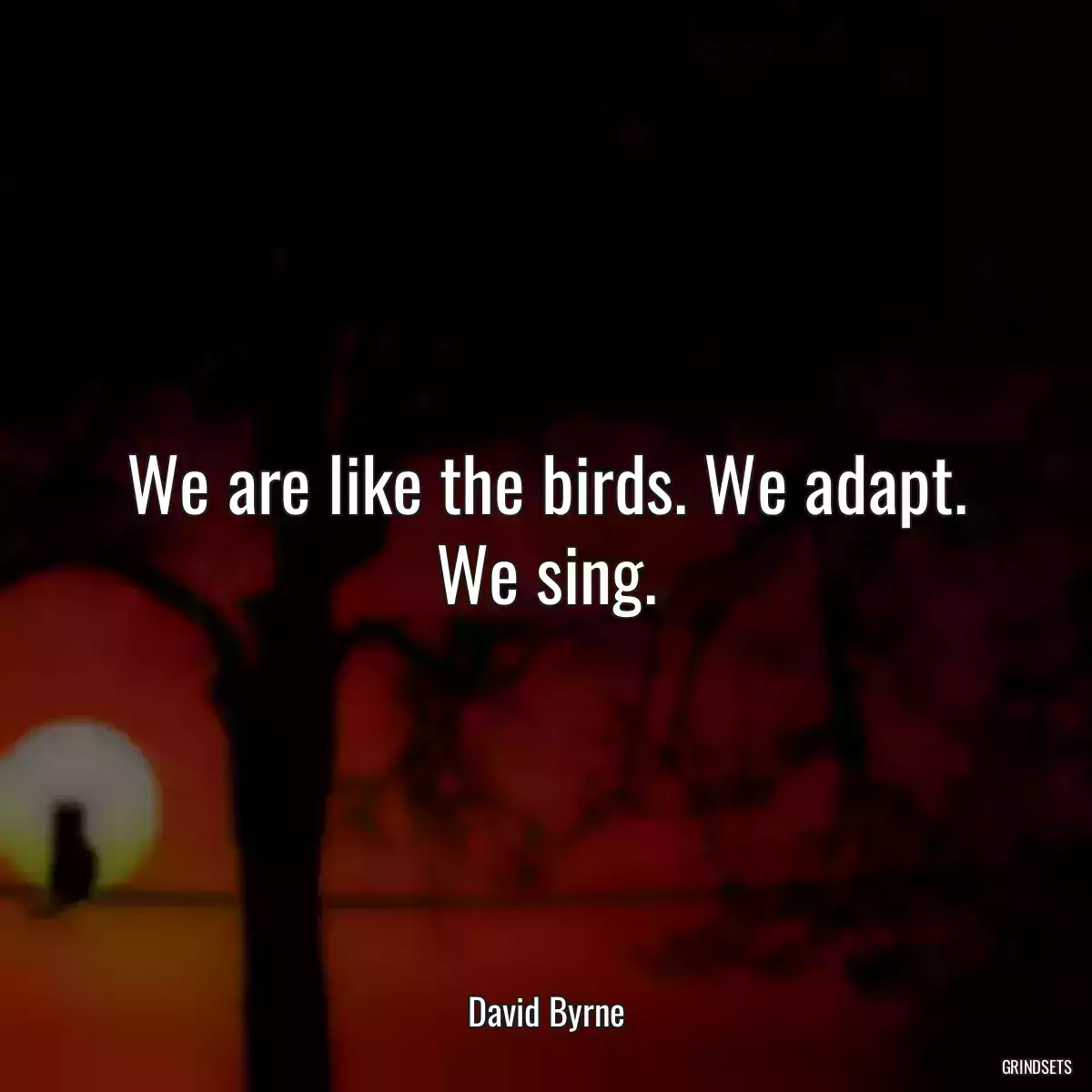 We are like the birds. We adapt. We sing.