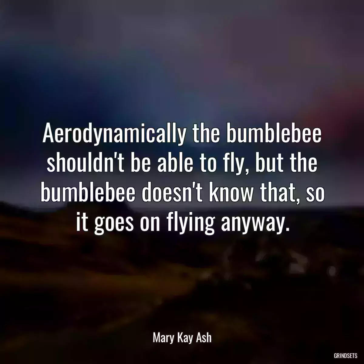 Aerodynamically the bumblebee shouldn\'t be able to fly, but the bumblebee doesn\'t know that, so it goes on flying anyway.