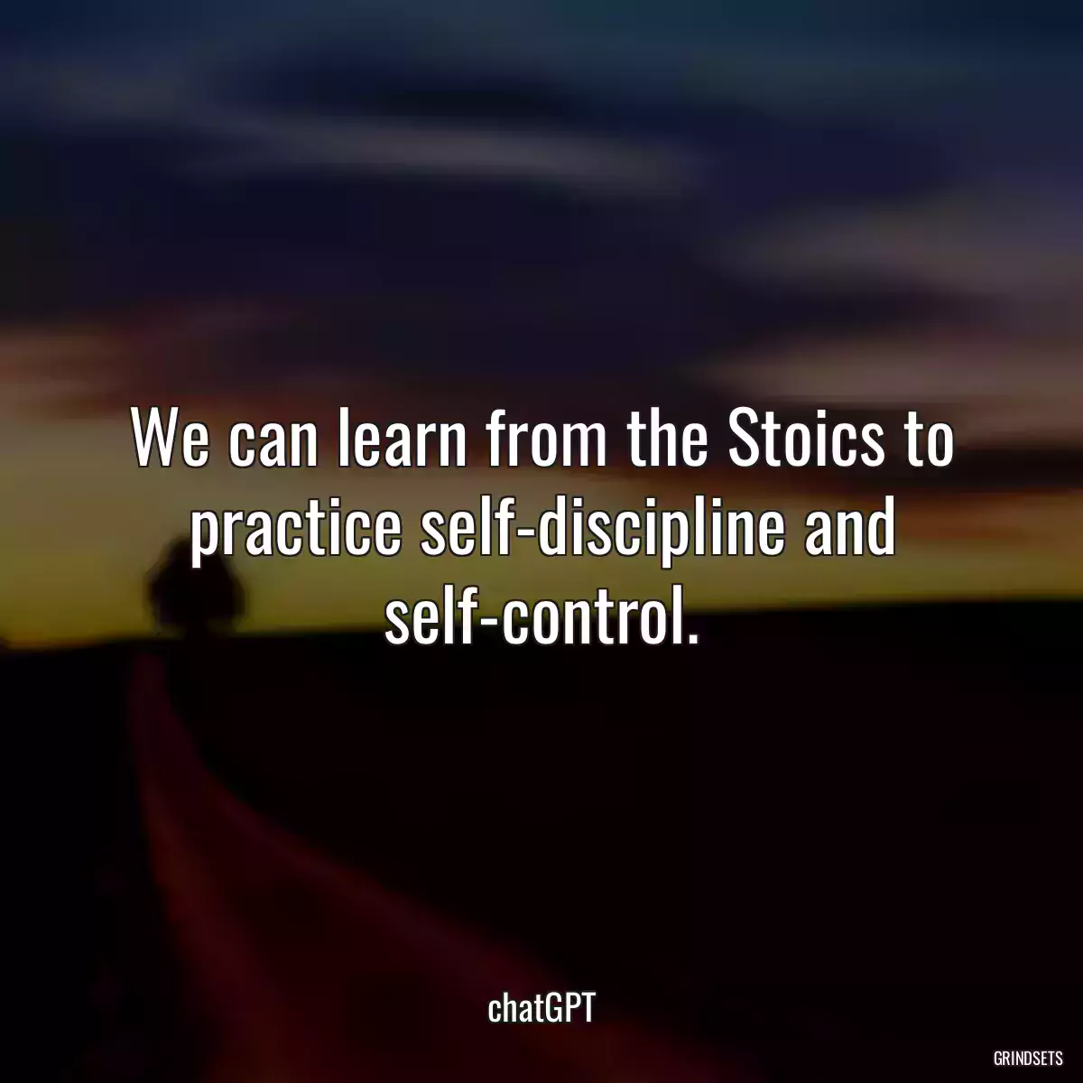 We can learn from the Stoics to practice self-discipline and self-control.