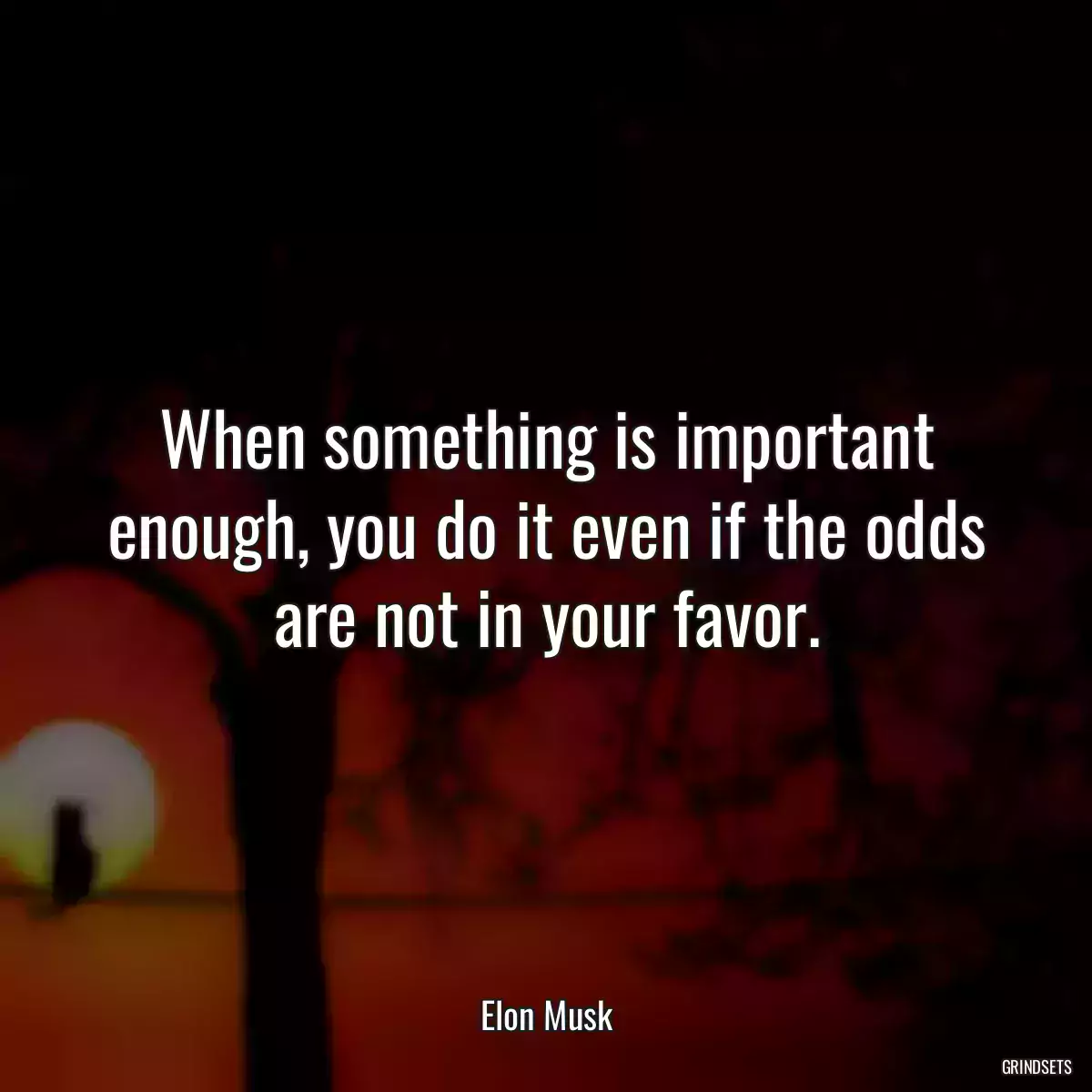 When something is important enough, you do it even if the odds are not in your favor.