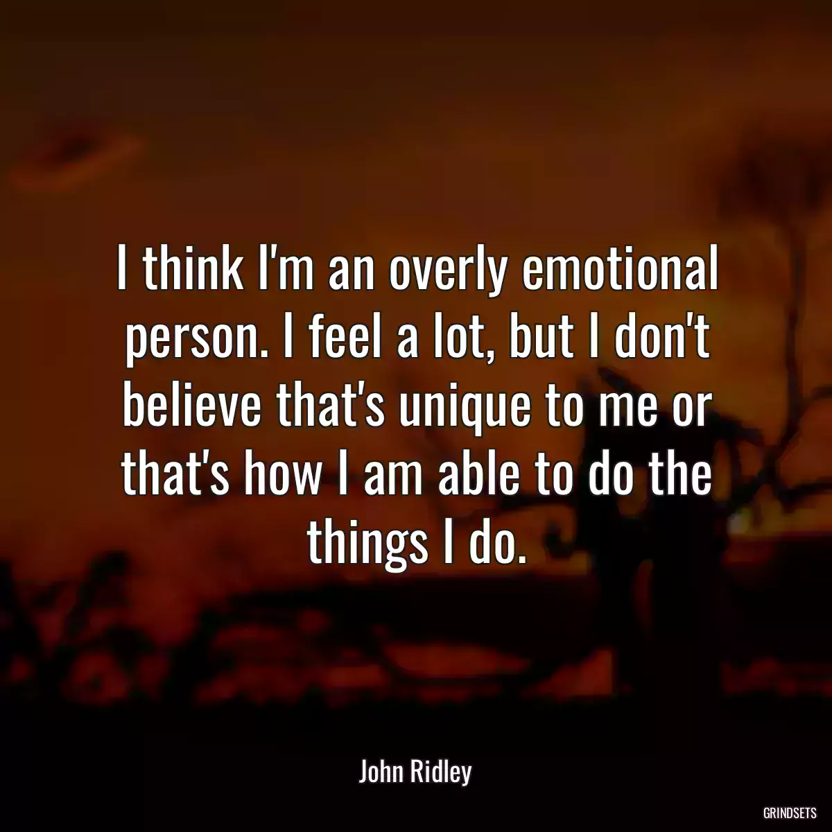 I think I\'m an overly emotional person. I feel a lot, but I don\'t believe that\'s unique to me or that\'s how I am able to do the things I do.