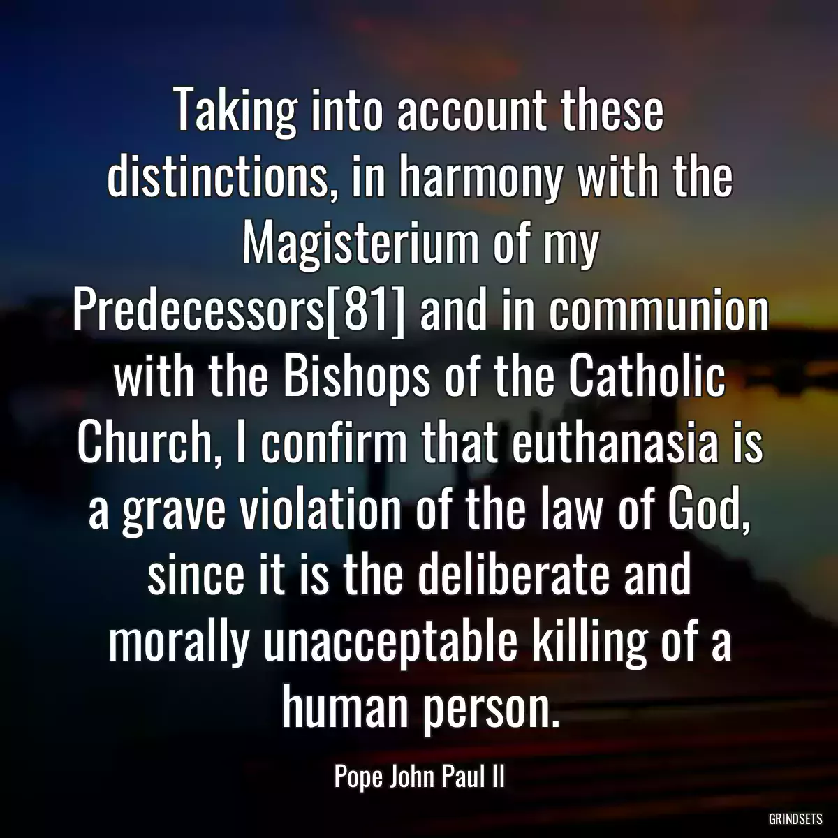 Taking into account these distinctions, in harmony with the Magisterium of my Predecessors[81] and in communion with the Bishops of the Catholic Church, I confirm that euthanasia is a grave violation of the law of God, since it is the deliberate and morally unacceptable killing of a human person.