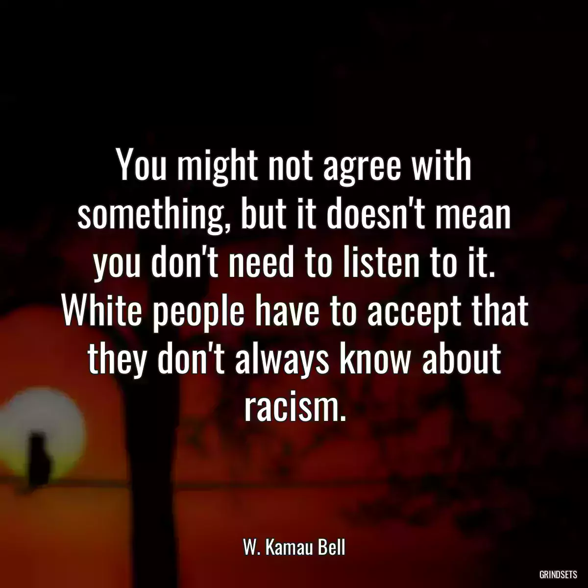 You might not agree with something, but it doesn\'t mean you don\'t need to listen to it. White people have to accept that they don\'t always know about racism.