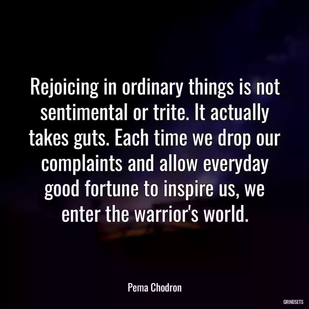 Rejoicing in ordinary things is not sentimental or trite. It actually takes guts. Each time we drop our complaints and allow everyday good fortune to inspire us, we enter the warrior\'s world.