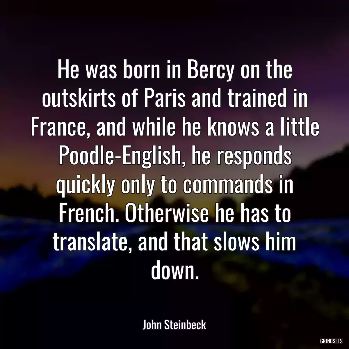 He was born in Bercy on the outskirts of Paris and trained in France, and while he knows a little Poodle-English, he responds quickly only to commands in French. Otherwise he has to translate, and that slows him down.