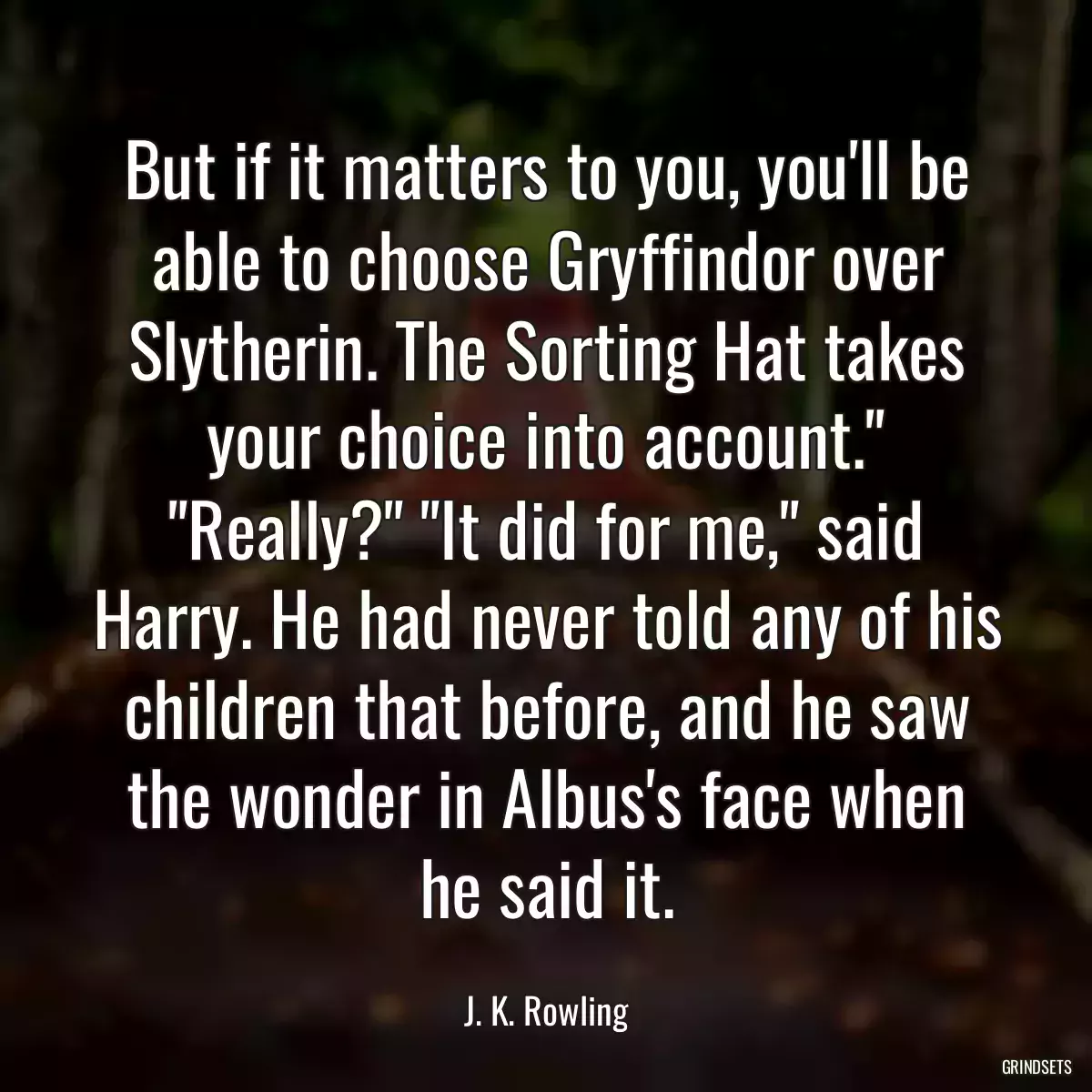 But if it matters to you, you\'ll be able to choose Gryffindor over Slytherin. The Sorting Hat takes your choice into account.\