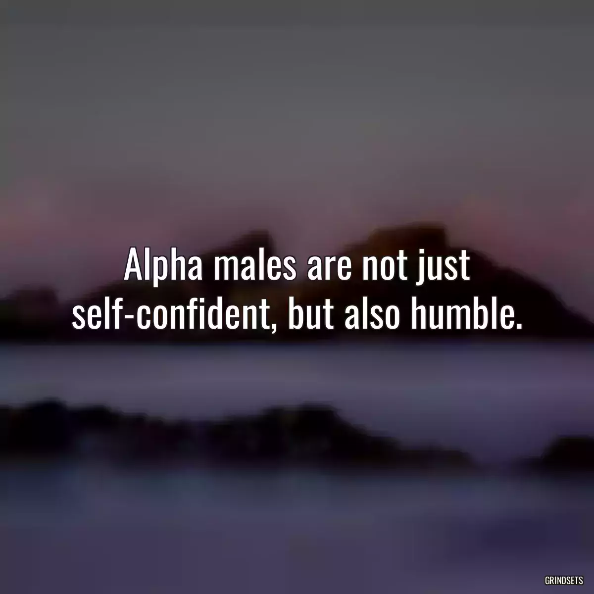 Alpha males are not just self-confident, but also humble.