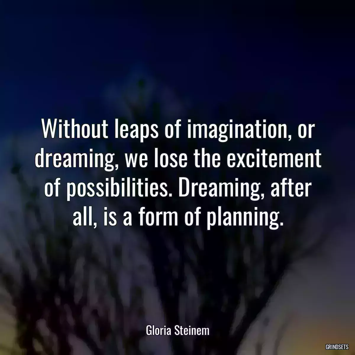 Without leaps of imagination, or dreaming, we lose the excitement of possibilities. Dreaming, after all, is a form of planning.