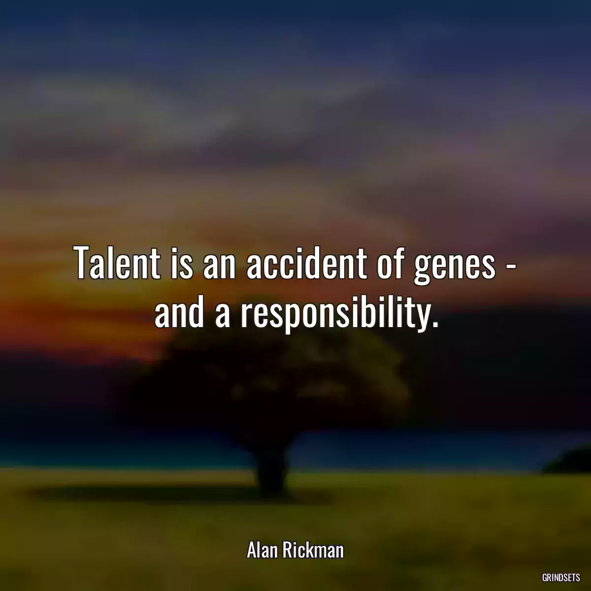 Talent is an accident of genes - and a responsibility.