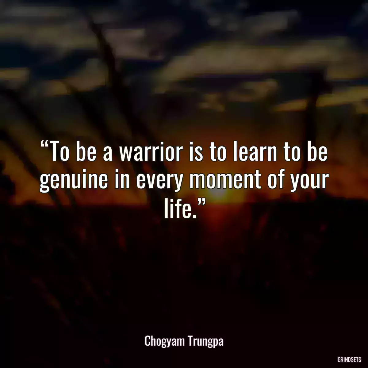 “To be a warrior is to learn to be genuine in every moment of your life.”