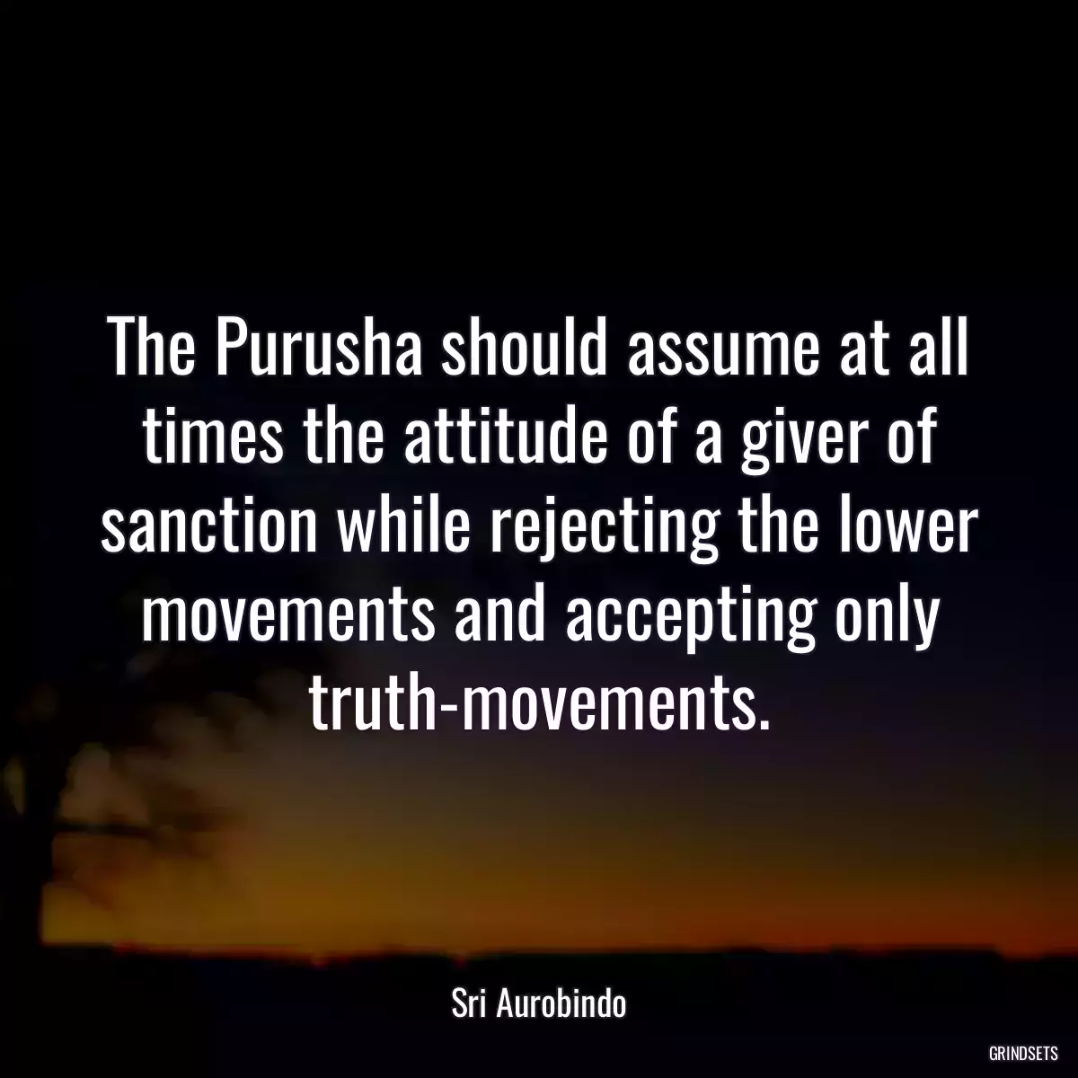 The Purusha should assume at all times the attitude of a giver of sanction while rejecting the lower movements and accepting only truth-movements.