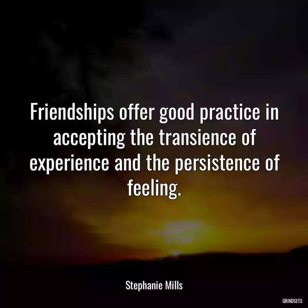 Friendships offer good practice in accepting the transience of experience and the persistence of feeling.