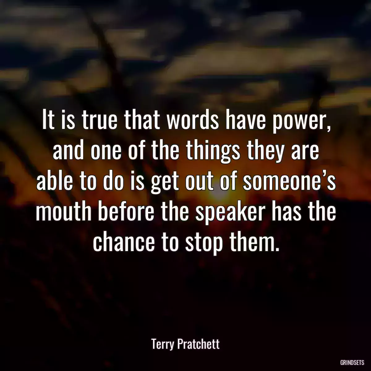 It is true that words have power, and one of the things they are able to do is get out of someone’s mouth before the speaker has the chance to stop them.