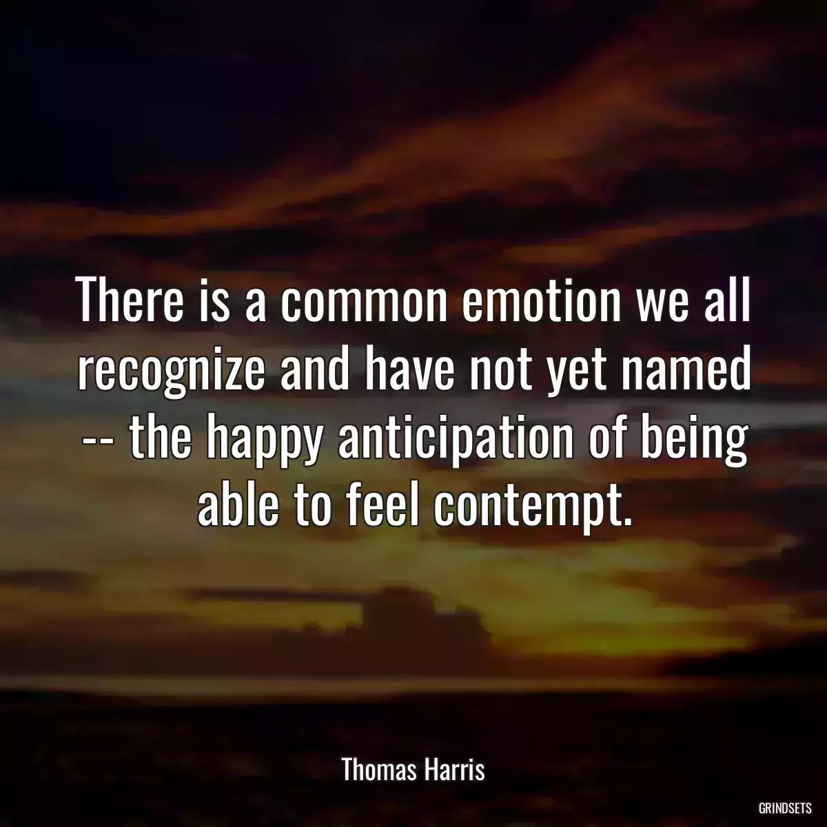 There is a common emotion we all recognize and have not yet named -- the happy anticipation of being able to feel contempt.