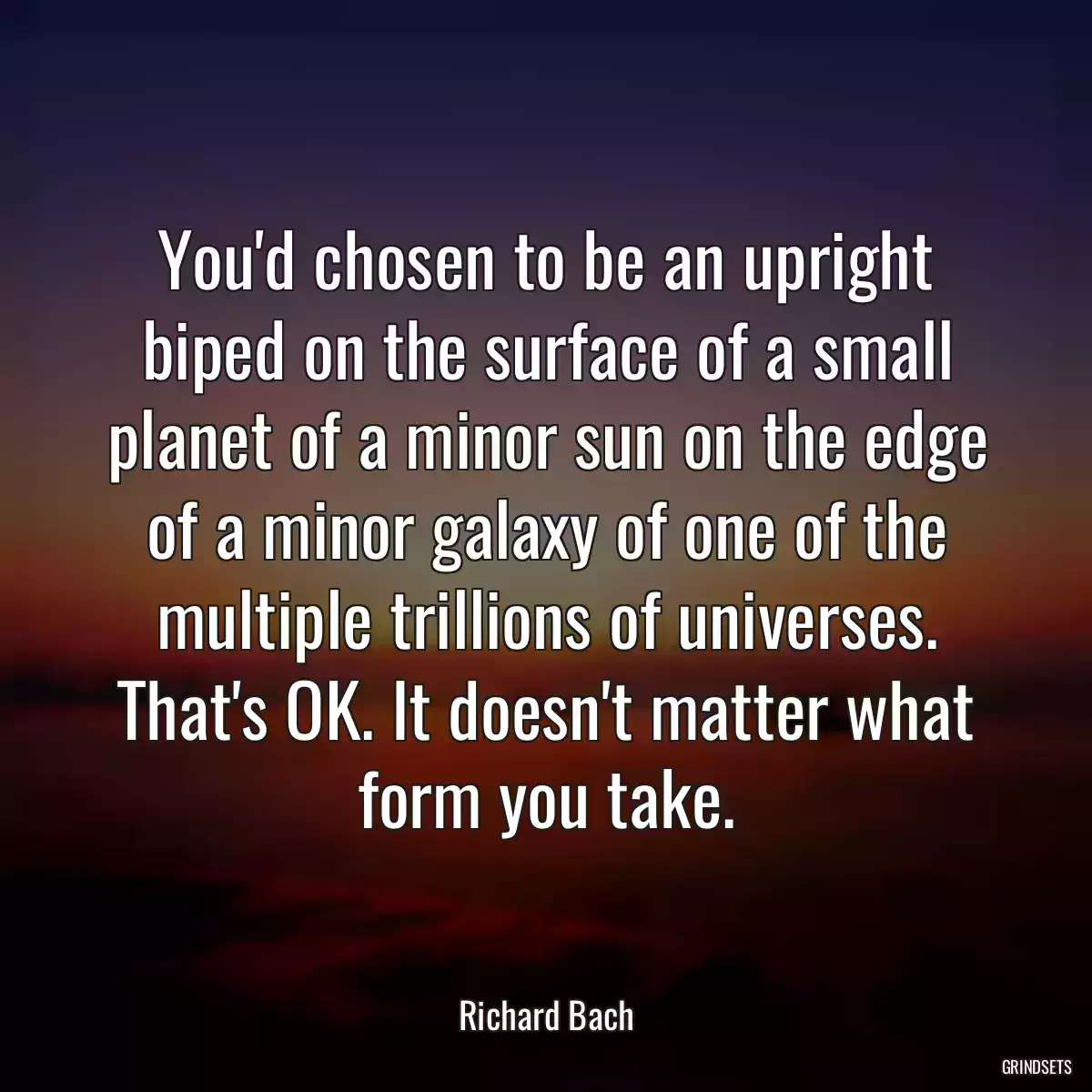 You\'d chosen to be an upright biped on the surface of a small planet of a minor sun on the edge of a minor galaxy of one of the multiple trillions of universes. That\'s OK. It doesn\'t matter what form you take.