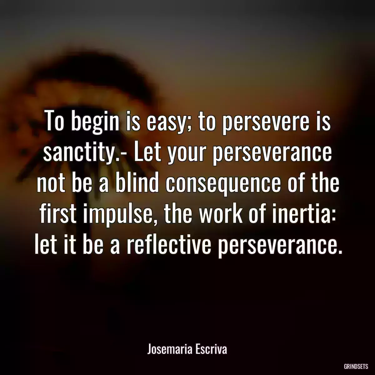 To begin is easy; to persevere is sanctity.- Let your perseverance not be a blind consequence of the first impulse, the work of inertia: let it be a reflective perseverance.