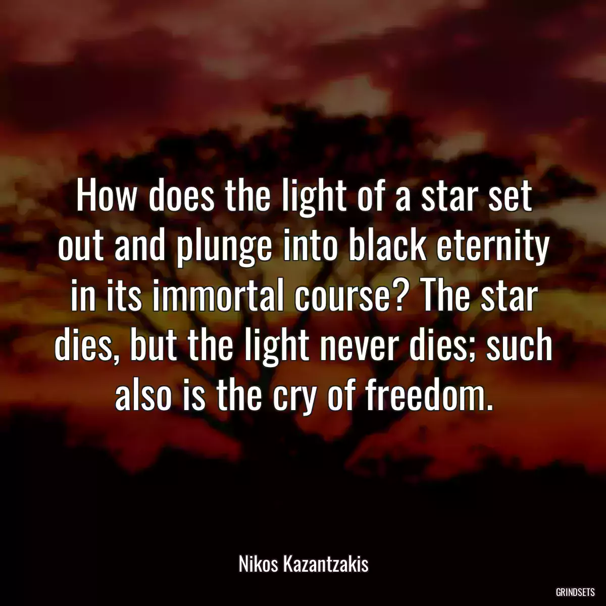 How does the light of a star set out and plunge into black eternity in its immortal course? The star dies, but the light never dies; such also is the cry of freedom.