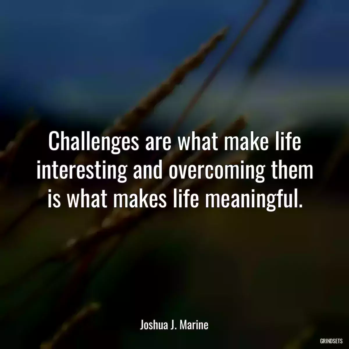 Challenges are what make life interesting and overcoming them is what makes life meaningful.