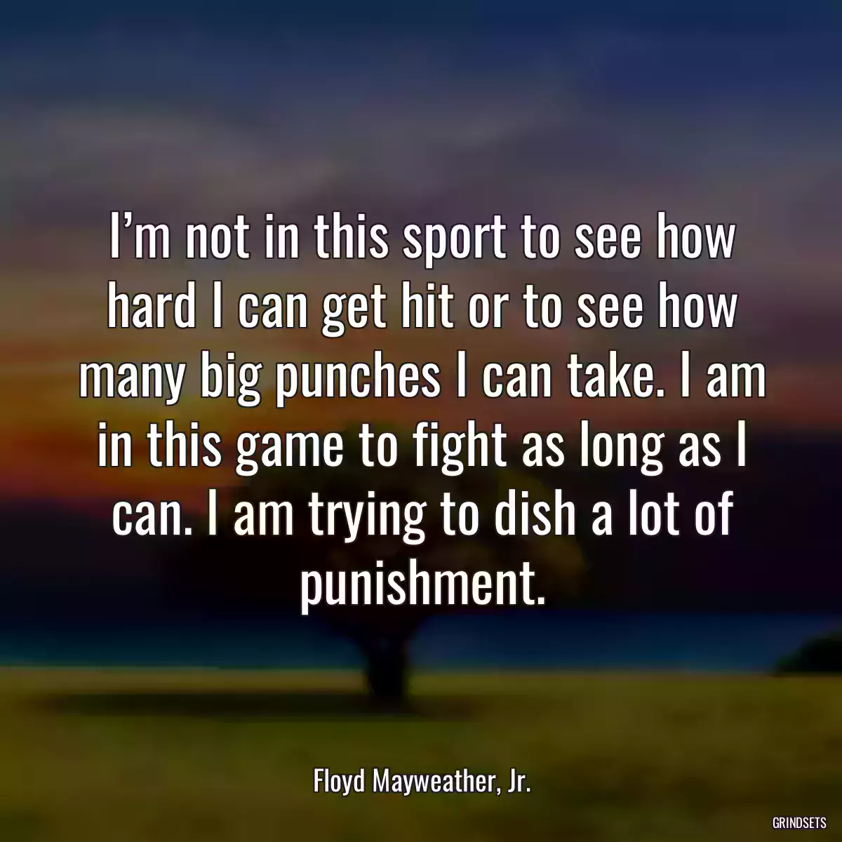 I’m not in this sport to see how hard I can get hit or to see how many big punches I can take. I am in this game to fight as long as I can. I am trying to dish a lot of punishment.