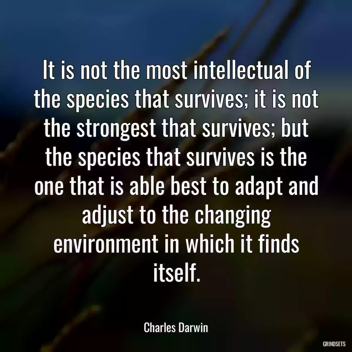 It is not the most intellectual of the species that survives; it is not the strongest that survives; but the species that survives is the one that is able best to adapt and adjust to the changing environment in which it finds itself.