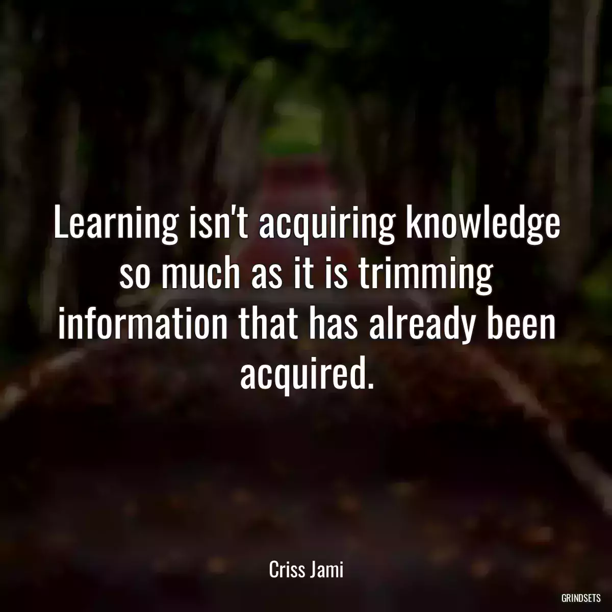 Learning isn\'t acquiring knowledge so much as it is trimming information that has already been acquired.