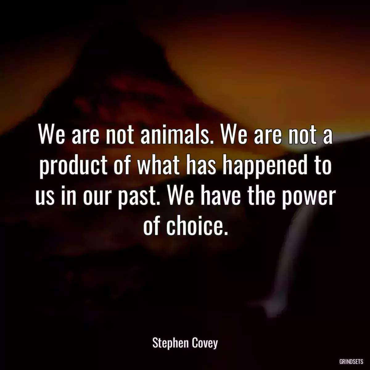 We are not animals. We are not a product of what has happened to us in our past. We have the power of choice.